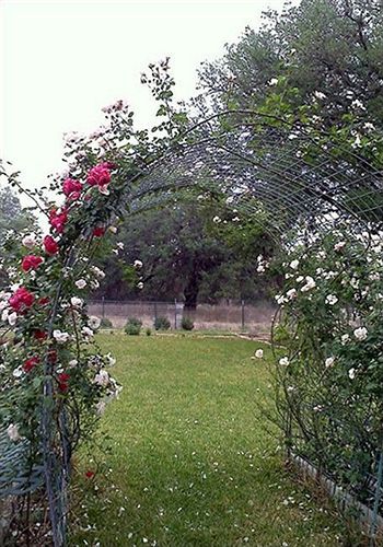 Chantilly Lace Country Inn จอห์นสันซิตี้ ภายนอก รูปภาพ